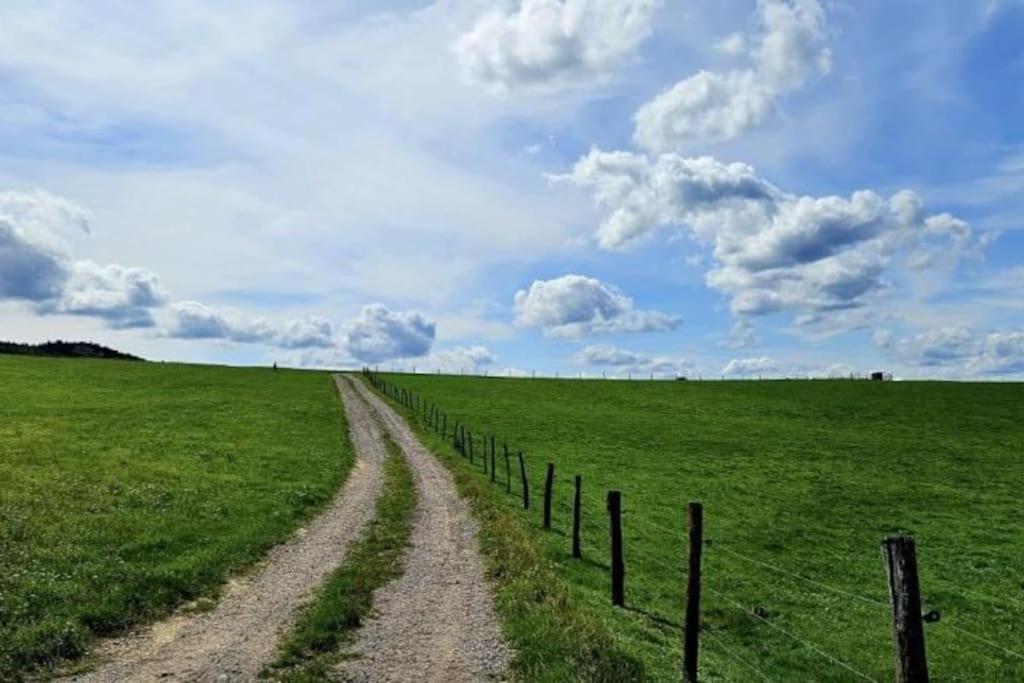 Corps De Ferme Traditionnel Lembach Exteriör bild