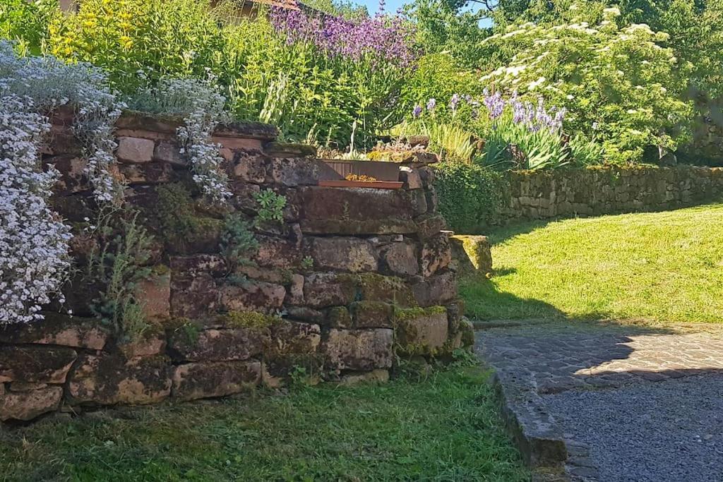 Corps De Ferme Traditionnel Lembach Exteriör bild