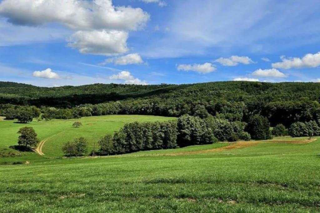 Corps De Ferme Traditionnel Lembach Exteriör bild