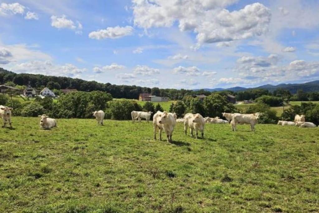 Corps De Ferme Traditionnel Lembach Exteriör bild