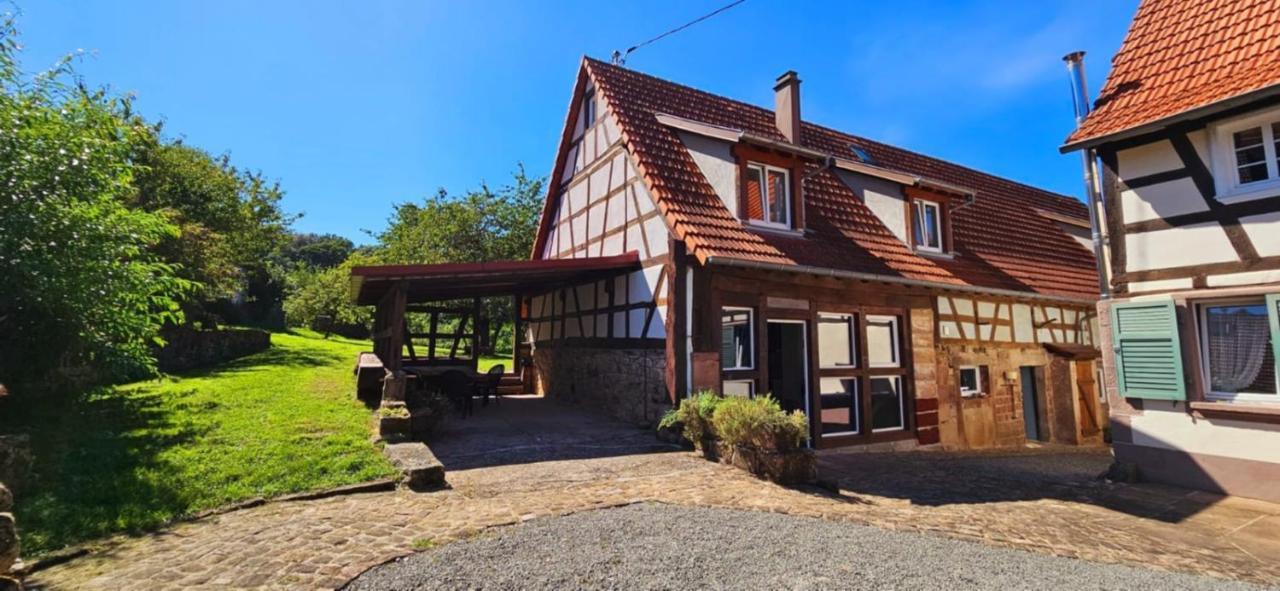 Corps De Ferme Traditionnel Lembach Exteriör bild